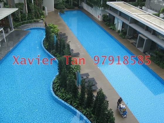 Vista Residences (D12), Condominium #126827592